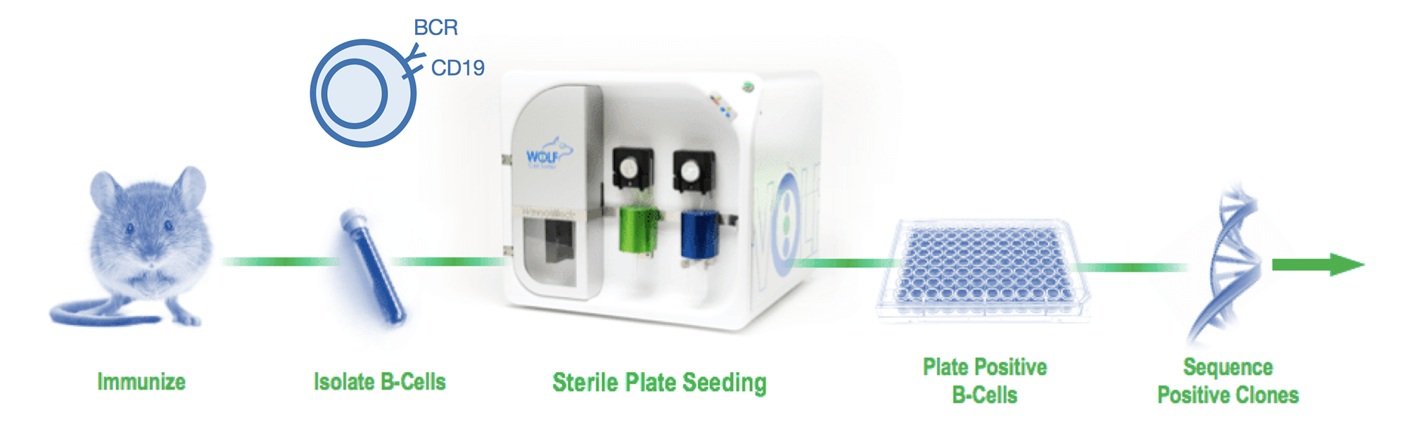 Antibody Discovery & Development | NanoCellect