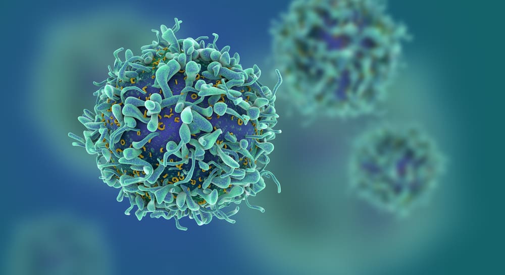 Breaking Down the Principles of Flow Cytometry