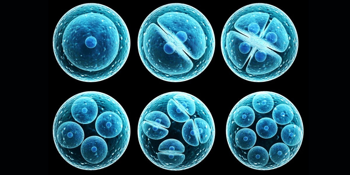 How Does Flow Cytometry Work?