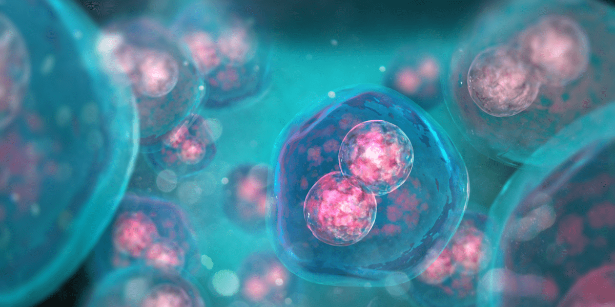 How to Complete Cell Cycle Analysis via Flow Cytometry