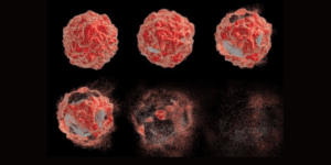 Flow Cytometry vs FACS