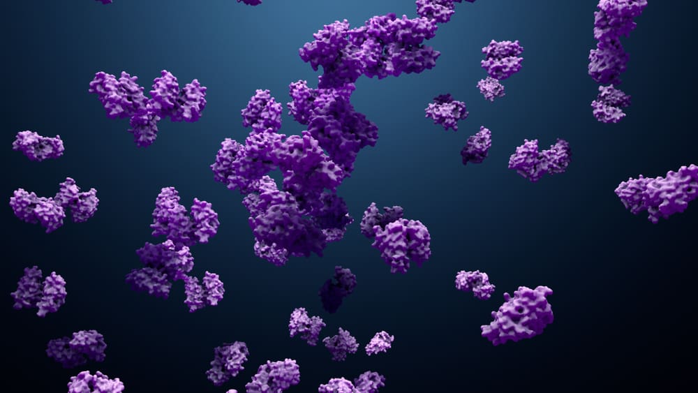 The Utilization of CHO Cells for the Development of Cell Line Producing Recombinant Proteins