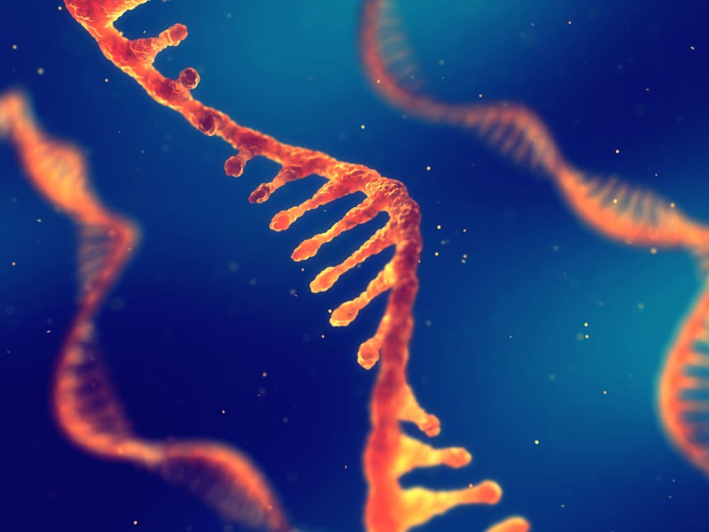 RNA Sequencing Analysis | NanoCellect