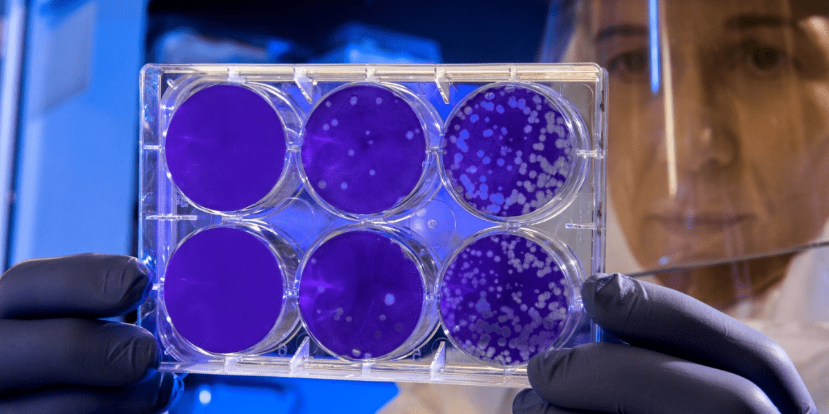 How Flow Cytometry is Used to Study Infectious Disease