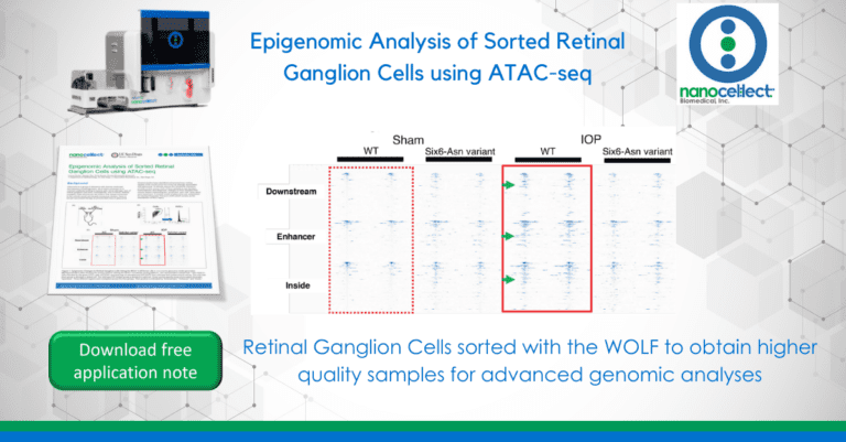 Epigenomic Analysis of Sorted Retinal Ganglion Cells using ATAC-seq