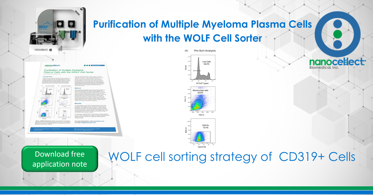 Purification of Multiple Myeloma Plasma Cells with the WOLF Cell Sorter