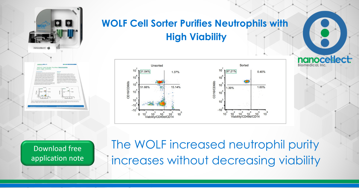 WOLF Cell Sorter Purifies Neutrophils with High Viability