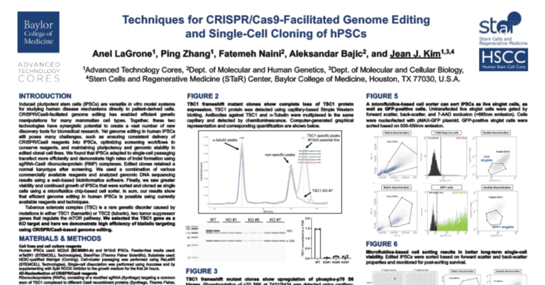 Techniques for CRISPR/Cas9-Facilitated Genome Editing and Single-Cell Cloning of hPSCs