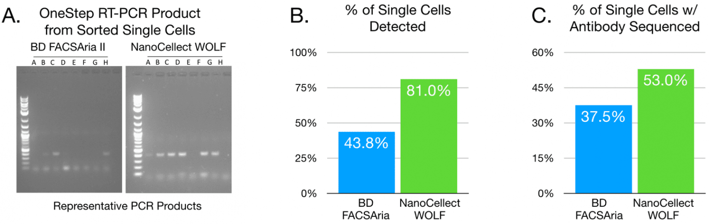 Antibody Discovery From Single Bovine B-Cells | NanoCellect