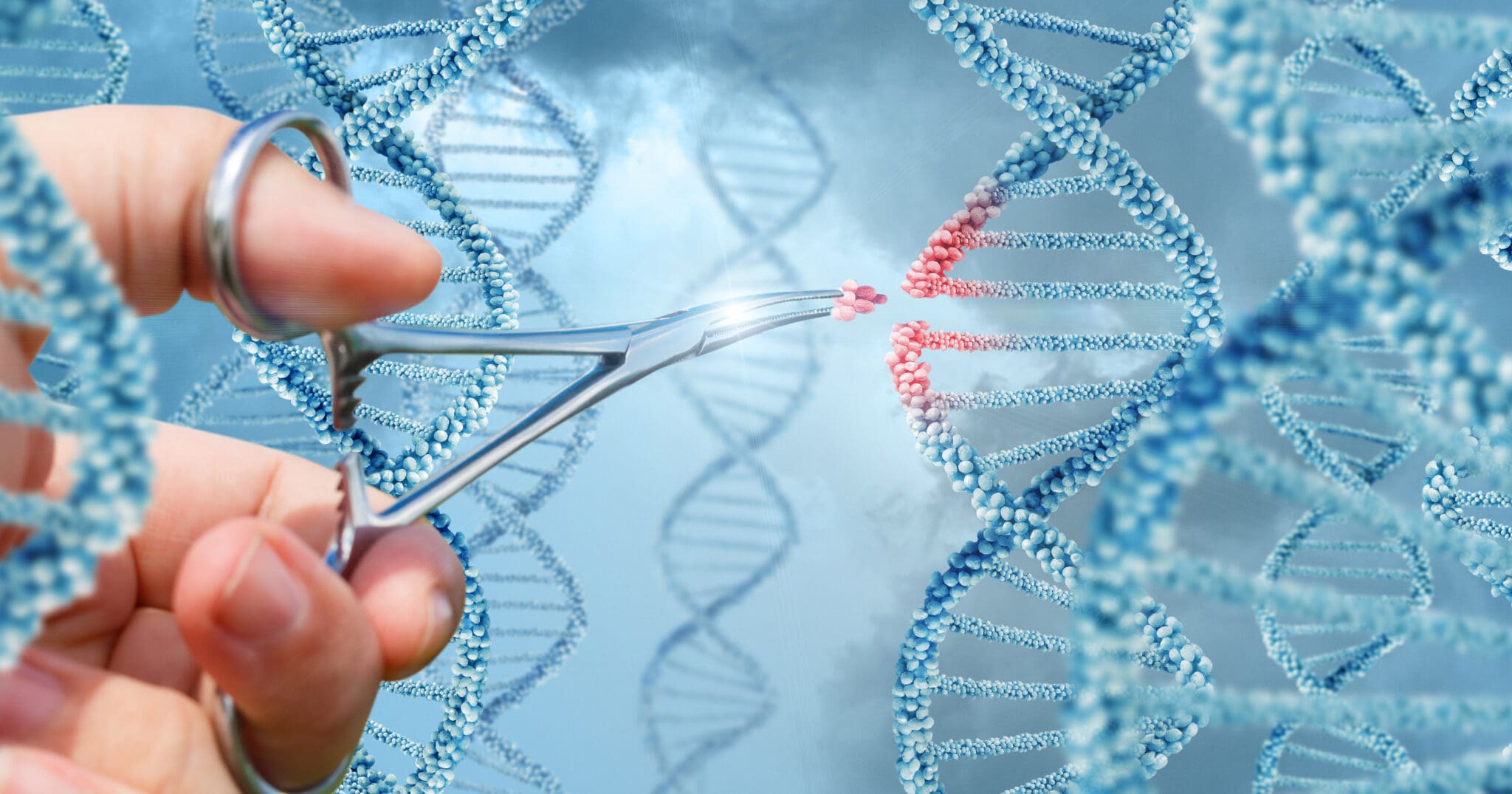 Benchtop Microfluidic Cell Sorter: WOLF - NanoCellect