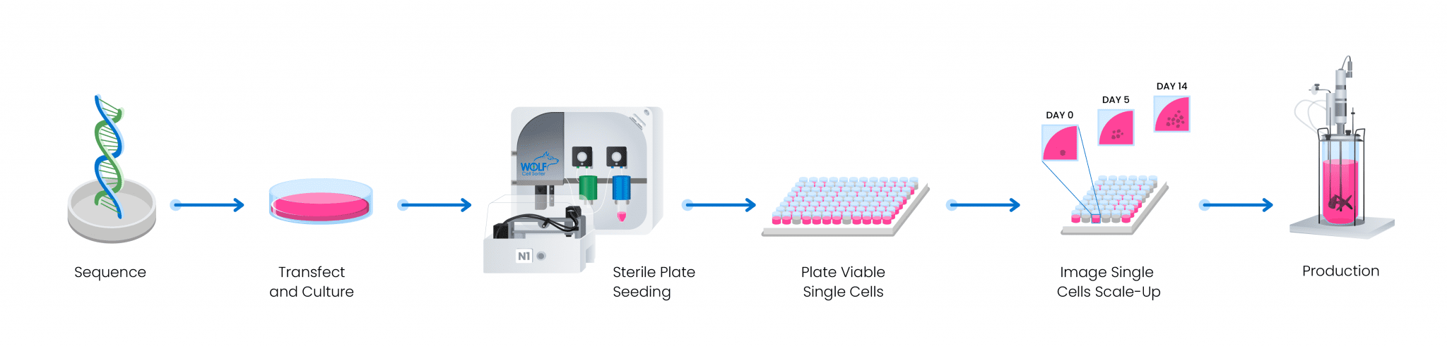Cell Line Development & Engineering | NanoCellect