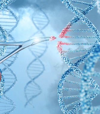 Benchtop Microfluidic Cell Sorter: WOLF | NanoCellect