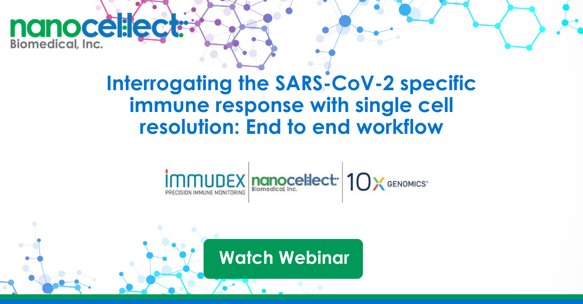 Interrogating the SARS-CoV-2 specific immune response with single cell resolution: End to end workflow