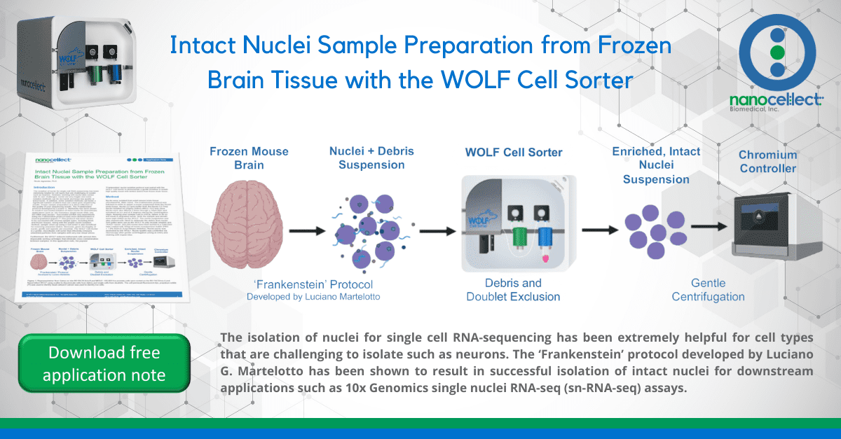 Intact Nuclei Sample Preparation from Frozen Brain Tissue with the WOLF Cell Sorter