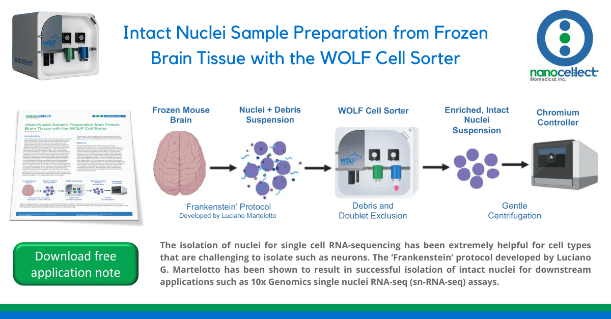 Intact Nuclei Sample Preparation from Frozen Brain Tissue with the WOLF Cell Sorter