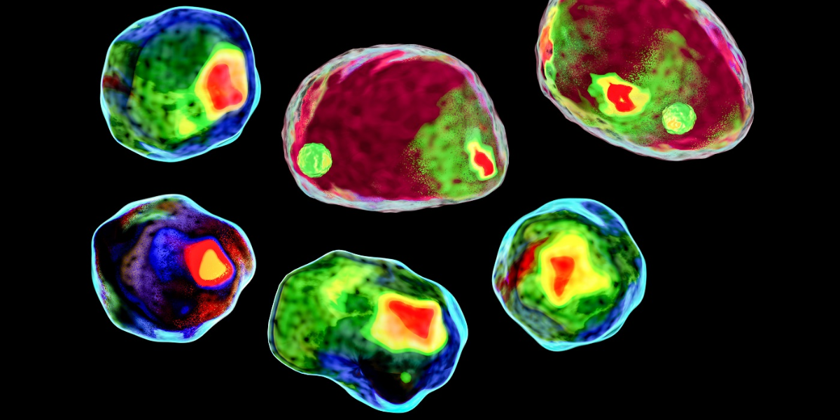 What Is Flow Cytometry Light Scatter?