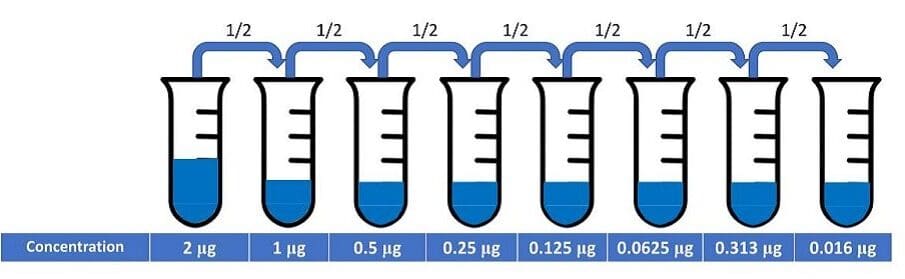 Serial dilutions of an antibody for a titration experiment