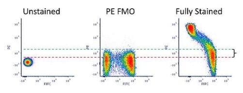 Using the fluorescence minus one (FMO) control to set the positive gate. 