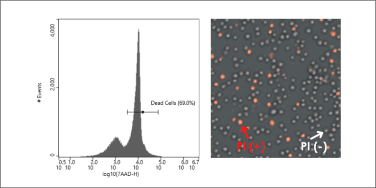 Live/Dead Staining for Improved Cell Sorting Recoveries | NanoCellect