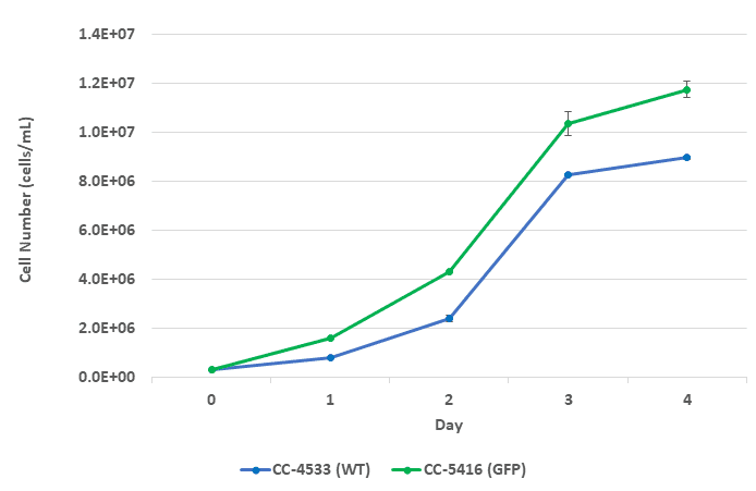 Growth curve for CC-4533 and CC-5416 over a 4-day period.