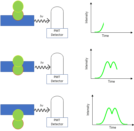 Depiction of how a signal pulse is generated and measured when two cells are stuck together when passing through a PMT detector.