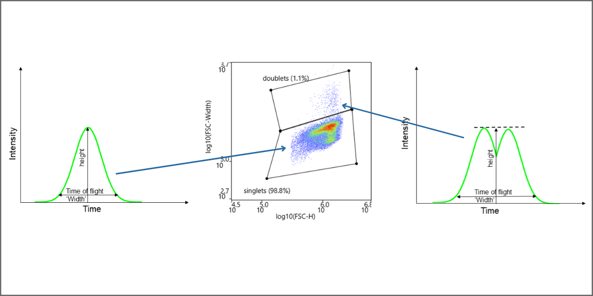 How to Identify and Remove Doublets in Flow Cytometry