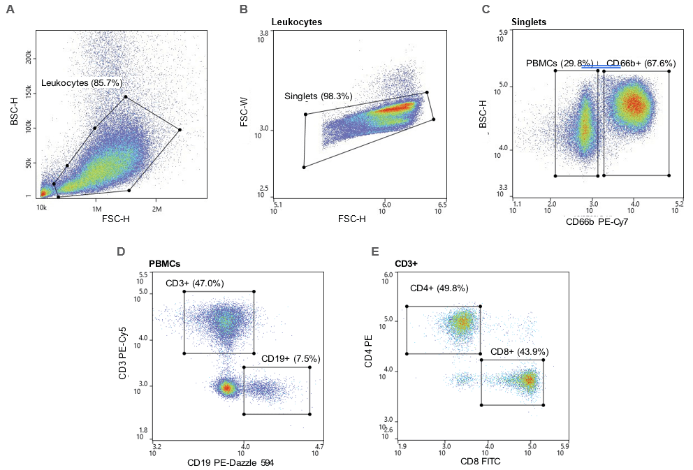 Gating strategy: A. Leukocytes were first gated using the BSC-H/FSC-H plot and the B. singlets were gated through an FSC-W/FSC-H plot. C. PBMCs were CD66b- and granulocytes were CD66b+ D. T cells were CD66b-CD3+ and B cells were CD66b-CD19+. E. CD4+ and CD8+ T cells were CD66-CD3+CD4+ and CD66-CD3+CD8+, respectively.