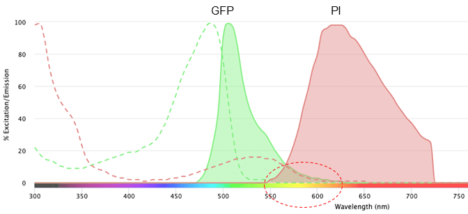 Excitation profile and emission profile of green fluorescent protein (GFP) and propidium iodide (PI) on the NanoCellect Spectra Viewer.