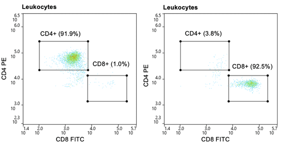 Post-sort purity of CD4+ and CD8+ T cells