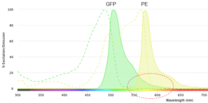 Spectro Viewer The Power of a Spectra Viewer for Experimental Design | NanoCellect