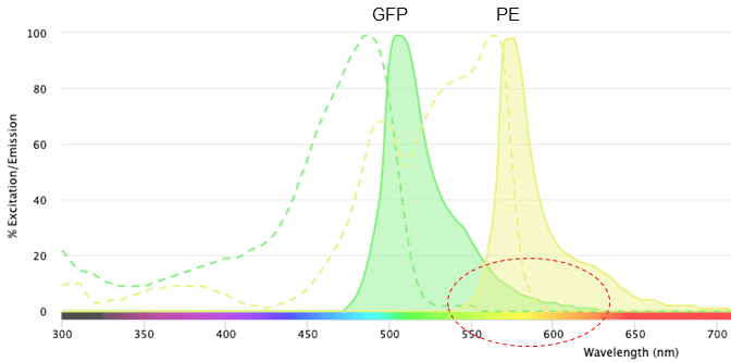 Excitation and emission profiles of green fluorescent protein (GFP) and phycoerythrin (PE) on the NanoCellect Spectra Viewer.