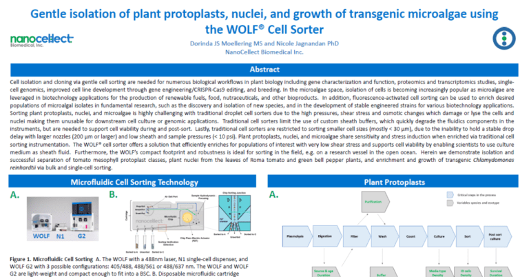 Gentle isolation of plant protoplasts, nuclei, and growth of transgenic microalgae using the WOLF® Cell Sorter