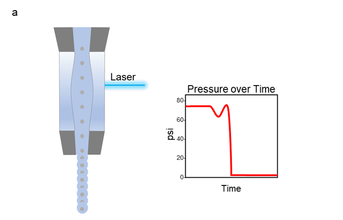 Depiction of the path a cell takes as it travels through the flow cell portion of a cuvette style cell sorter with graph of corresponding pressure over time.