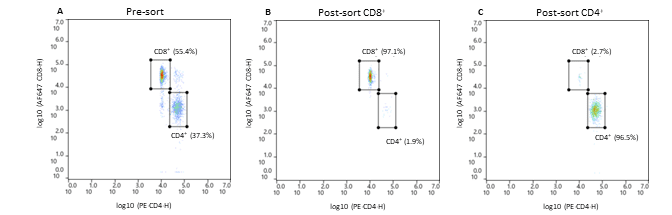 Pre- and post-sort enrichment of CD8+ and CD4+ T-cell populations on the WOLF G2 with a 488nm/637nm laser configuration
