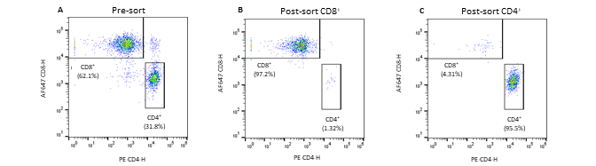 Pre- and post-sort enrichment of CD8+ and CD4+ T-cell populations on the WOLF G2 with a 488nm/637nm laser configuration