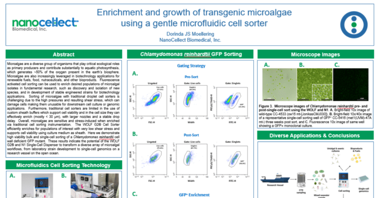 Enrichment and growth of transgenic microalgae  using a gentle microfluidic cell sorter