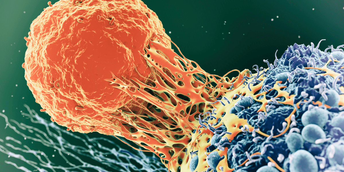 Unlocking the Power of Immune Cells in the Battle Against Cancer