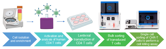 Figure 1. Workflow for cell and gene therapy.