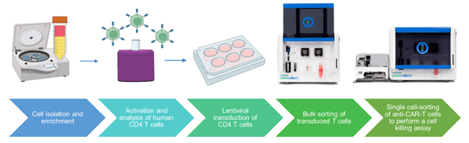 Workflow for cell and gene therapy.