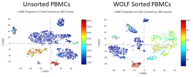 A higher amount of UMIs per cell and more distinct cell populations were identified in the WOLF sorted PBMC sample.