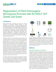 Regeneration of Plant Embryogenic Microspores