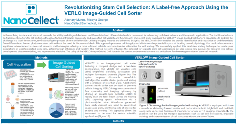Revolutionizing Stem Cell Selection: A Label-free Approach Using the VERLO Image-Guided Cell Sorter