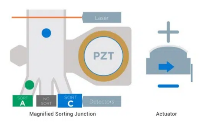 WOLF G2 Benchtop Microfluidic Cell Sorter | NanoCellect