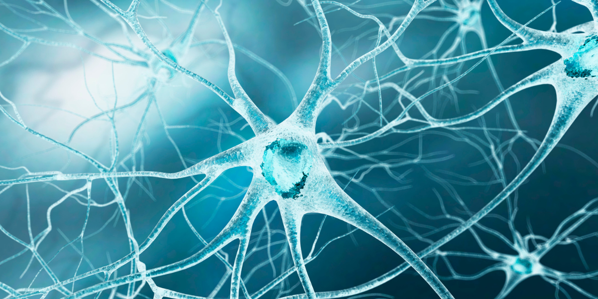 Gentle Stem Cell Sorting Advances ALS Research