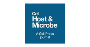 Bacteroides fragilis promotes chemoresistance in colorectal cancer, and its elimination by phage VA7 restores chemosensitivity