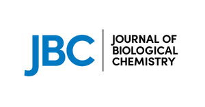 Bioluminescence-based assays for quantifying endogenous protein interactions in live cells