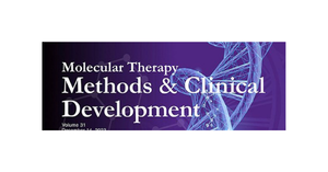 A method to validate viral copy-number assay involving a hybrid amplicon and duplex droplet digital PCR